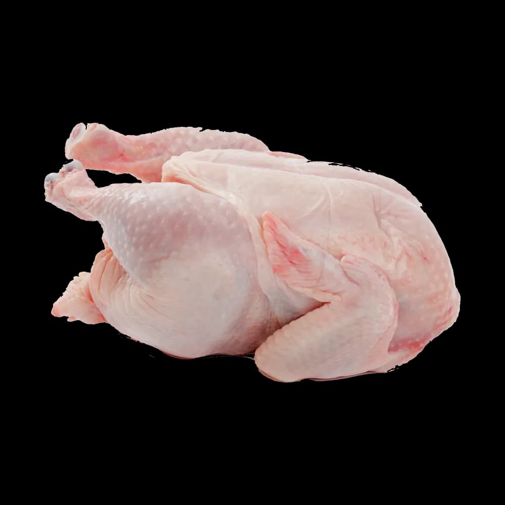 Chicken Meat product
