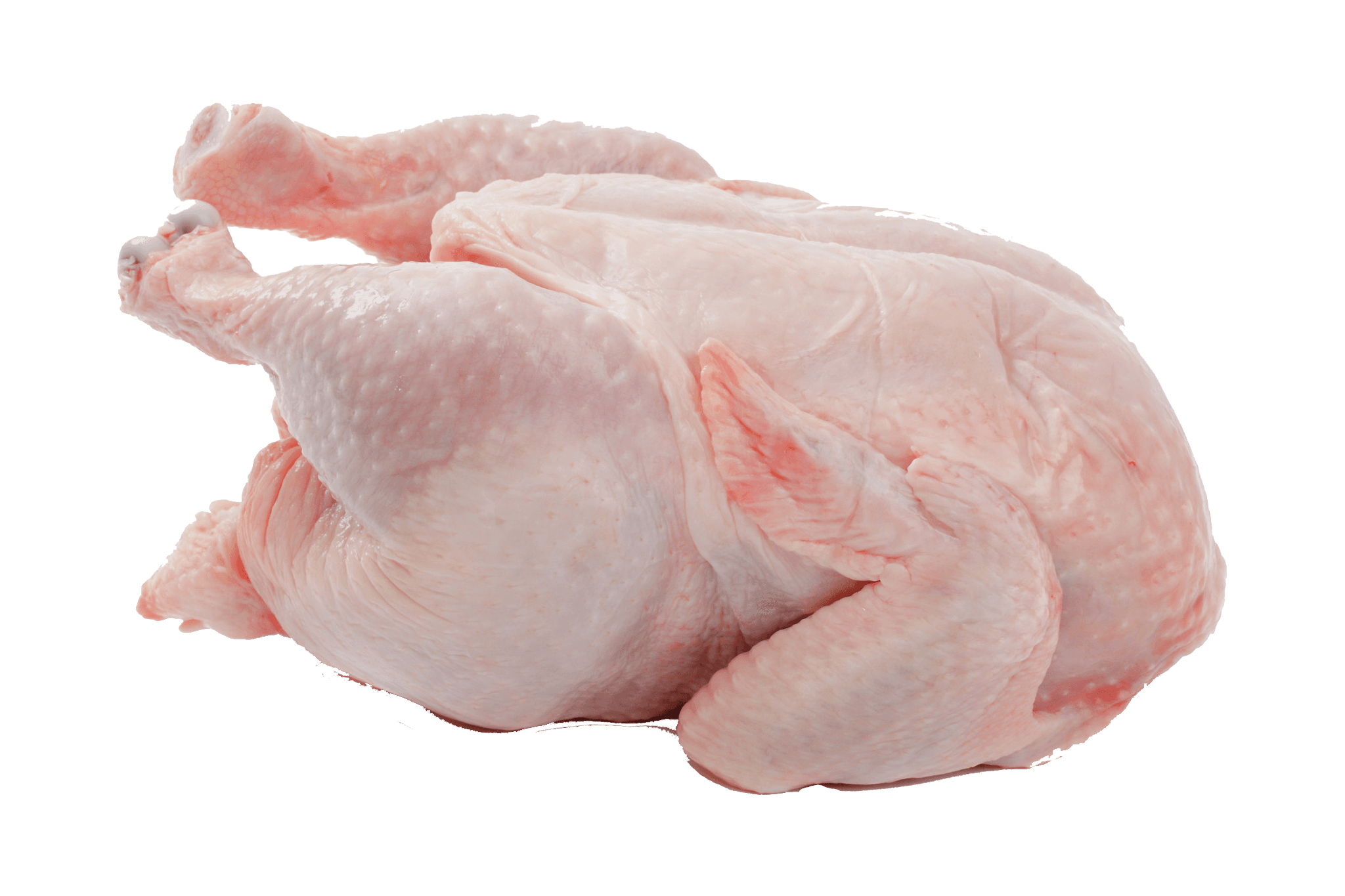 Chicken Meat product